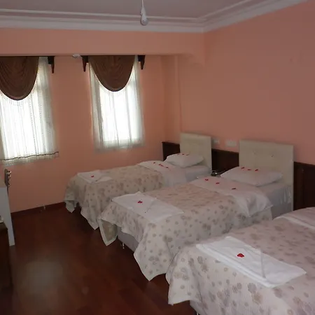 Hotel Belis